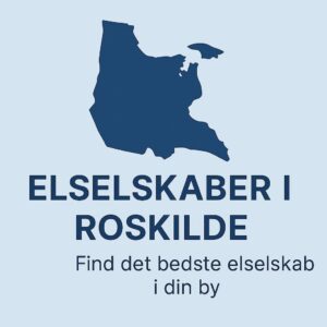 Elselskaber Roskilde