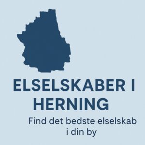 Elselskaber Herning