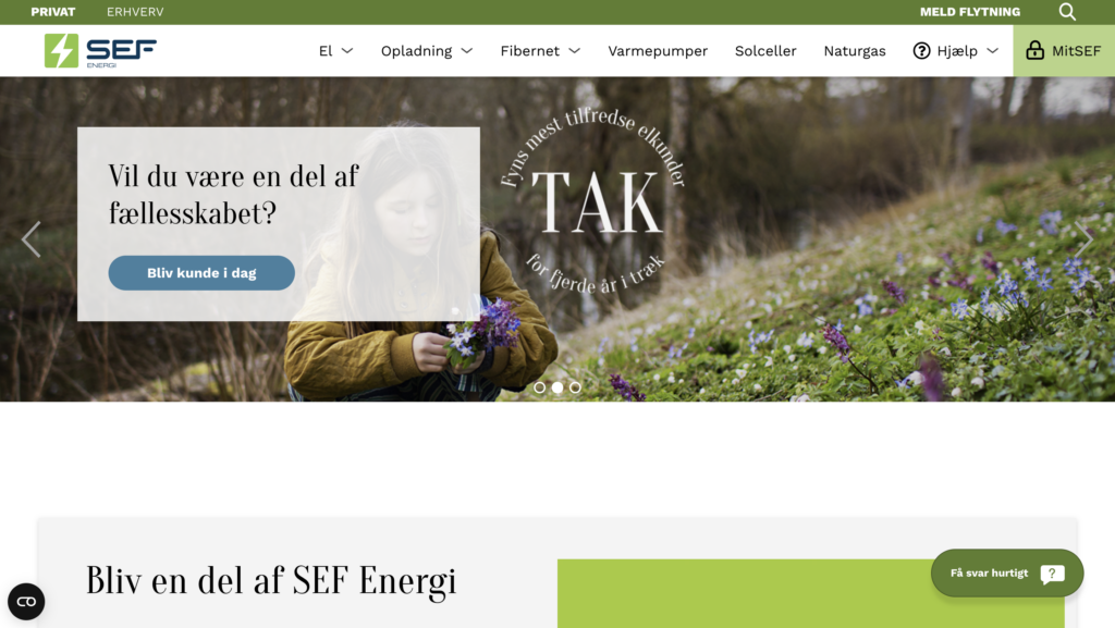 sef energi